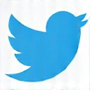 Twitter Icon